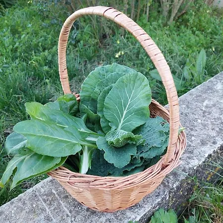 Casa Susana Дом отдыха