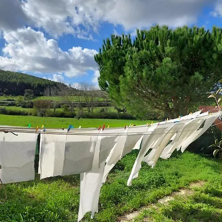 Casa Susana Sapataria