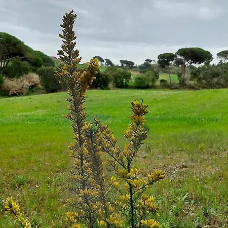 Casa Susana Дом отдыха Sapataria